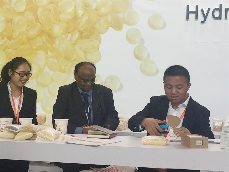 第二十四屆中國國際膠黏劑及密封劑展會(huì )延期舉辦通知